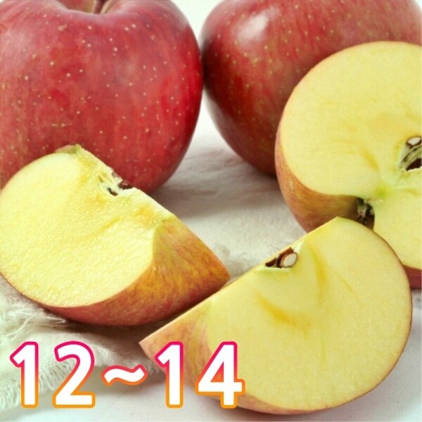 청정강원<span style='color: red;'> 양구사과 </span> (품종 : 부사 , 수량 : 12 ~ 14과)