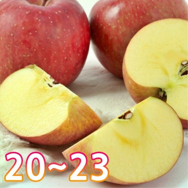 청정강원 <font color='red'>양구사과</font>(품종 : 부사 , 수량 : 20 ~ 23과)